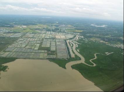 围海造田